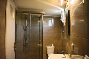 a bathroom with a shower and a toilet and a sink at Tarmaros Apartments in Sissi