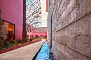 オアハカにあるCity Centro by Marriott Oaxacaのピンク色の建物の側面にある水景