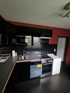Dapur atau dapur kecil di Vienna Schloss Schönbrunn 6 Appartment