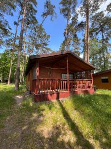 a small cabin in the woods with trees at Gród Piasta in Gąsawa