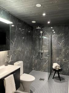 La salle de bains est pourvue d'une douche, de toilettes et d'un lavabo. dans l'établissement Tikka Apartments, à Jyväskylä