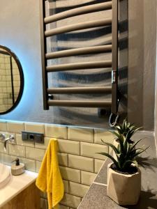 a bathroom with a sink and a potted plant on a counter at Art Apartment Glebova in Lviv
