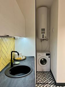 a kitchen with a sink and a washing machine at Art Apartment Glebova in Lviv