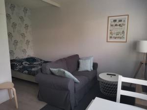 a living room with a couch and a bed at Ihana yksiö in Kokkola