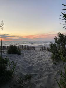 a view of the beach at sunset at Fregata 16 in Jastrzębia Góra