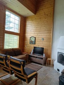 a living room with a couch and a tv at VILLA OLGA in Tahkovuori