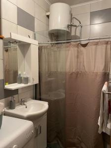 een badkamer met een douche en een wastafel bij Bobi in Sarajevo