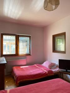 een slaapkamer met 2 bedden en een televisie. bij Bobi in Sarajevo