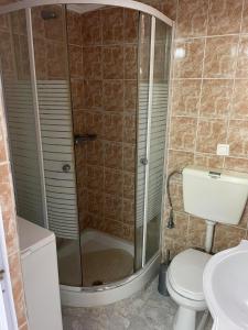 a bathroom with a shower and a toilet and a sink at Sea Side View in Dhíkella