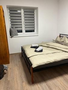 Ένα ή περισσότερα κρεβάτια σε δωμάτιο στο Apartmány Tobias