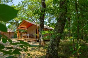 eine Hütte im Wald mit Bäumen in der Unterkunft Luxor Chianti Glamping village in Castellina in Chianti