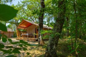 a cabin in the woods with trees at Luxor Chianti Glamping village in Castellina in Chianti