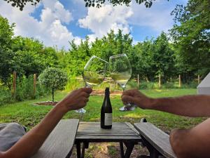 dos personas sosteniendo copas de vino en una mesa de picnic en Tipì Glamping Gilda, en Neive