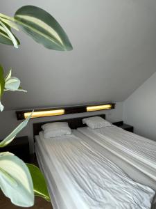 1 dormitorio con 1 cama con 2 almohadas blancas en Casa Maria Izvorul Muresului, en Izvoru Mureşului