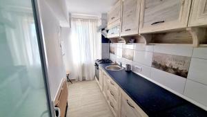 La salle de bains est pourvue d'un lavabo et d'un comptoir. dans l'établissement Belle Apartments - Central, à Piteşti