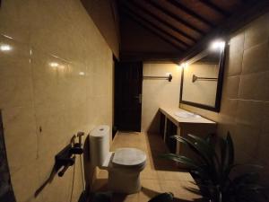 Un baño con inodoro, lavabo y espejo. en TIRTA BALI HOMESTAY, en Pemuteran 38 fotos más