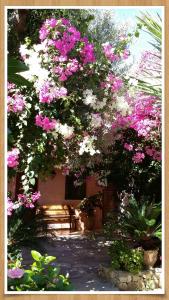 a bunch of pink and white flowers in front of a building at 2bedrooms Cottage 1 in Palaiochóra
