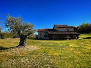 a house in a field with a tree in front of it at Casa de campo con piscina, entera o por habitaciones in Amoeiro