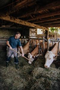 Altri animali domestici presso l'appartamento o nei dintorni