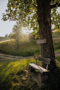 a wooden bench sitting next to a tree at Bio-Bergbauernhof Weger in Dellach