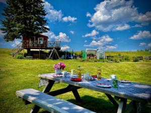 - une table de pique-nique avec de la nourriture et des fleurs sur un champ dans l'établissement Ferienwohnung-Familienidylle-im-Vogtland-80qm, à Neumark