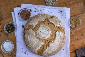 Cibo presso l'appartamento o nelle vicinanze