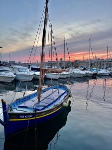 un bateau est amarré dans un port avec d'autres bateaux dans l'établissement PARADISE Earth & Sea, à Marseille