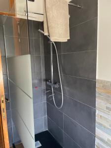 桑塔比諾的住宿－Tulip’house，浴室内带软管的淋浴