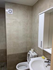 a bathroom with a toilet and a sink at Family apartment Tara in Mojkovac