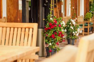 uma fila de vasos de flores com flores vermelhas e brancas em Alpenhotel Sonneck - mit Bergbahnticket em Bad Hindelang