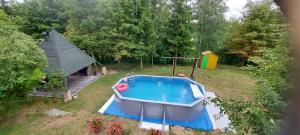 una vista aérea de una piscina en un patio en Agroturystyka Pod Gruszą, en Wielkie Leżno