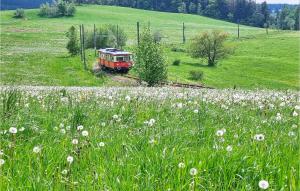 un tren rojo en las vías en un campo de flores en Lovely Apartment In Schwarzatal With Wifi, 