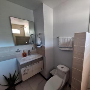 een badkamer met een toilet, een wastafel en een spiegel bij Victoria House-Sun View Hostel in San Isidro