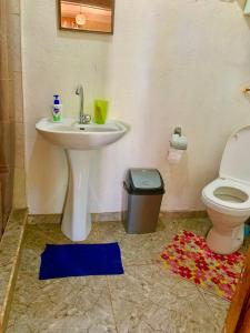 a bathroom with a sink and a toilet at Villa Bubi in Tbisi