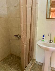 a bathroom with a shower and a sink at Villa Bubi in Tbisi