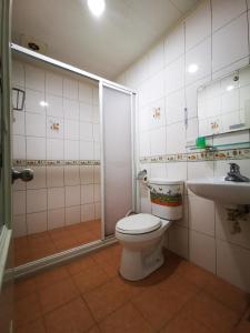 a bathroom with a shower and a toilet and a sink at Tai Yu Ju Bao Fang B&B in Yongan