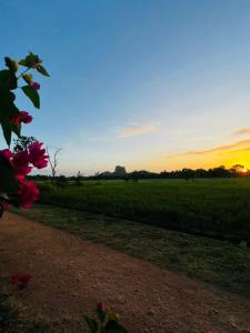Alba o tramonto visti dall'interno della stanza in casa privata o dai dintorni