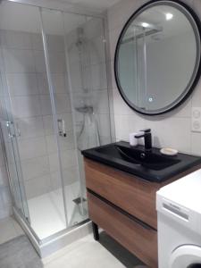 ein Bad mit einer Dusche, einem Waschbecken und einem Spiegel in der Unterkunft Studio la dent du chat in Tresserves
