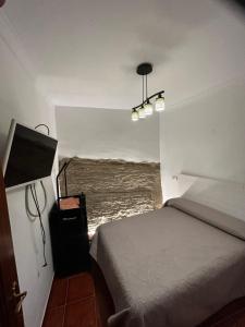 1 dormitorio con cama y vistas al océano en Apartamento ¨El lizón¨, en Setenil