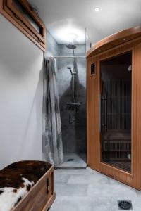 a bathroom with a shower and a shower stall at IMMODREAMS - Chalet Le Grand Paradis - Avoriaz in Avoriaz