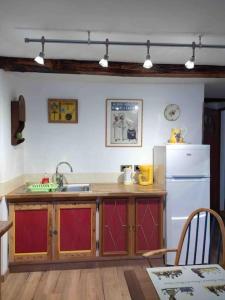 cocina con fregadero y nevera en Chez Jules, en Saint-Martin-Vésubie