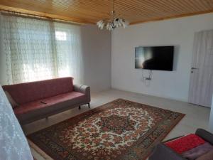 ein Wohnzimmer mit einem Sofa und einem Teppich in der Unterkunft Yomra Köy Evi in Yomra