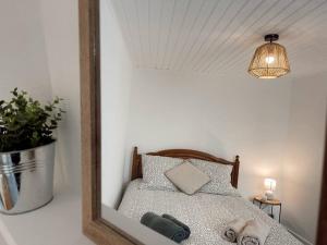 Spiegelreflexion eines Schlafzimmers mit einem Bett und einer Pflanze in der Unterkunft Maison Opaline in Berck-sur-Mer