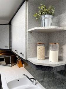 eine Küche mit einer Spüle und einer Arbeitsplatte in der Unterkunft Maison Opaline in Berck-sur-Mer