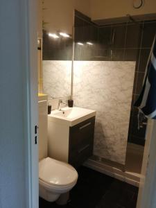 La salle de bains est pourvue de toilettes, d'un lavabo et d'une douche. dans l'établissement Appartement au pied des dunes, à Seignosse