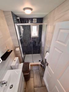 a bathroom with a shower and a toilet and a sink at Beach Woods Coastal Path chalet in Pembrokeshire