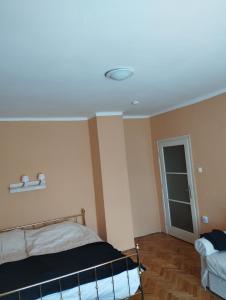 um quarto com uma cama e uma luz no tecto em Dózsa Apartman Orosháza em Orosháza