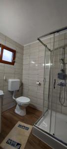 a bathroom with a toilet and a glass shower at Casuta de vacanta Miniş II in Miniş