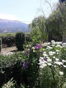 ogród z fioletowo-białymi kwiatami i krzakami w obiekcie VALIA ROOMS w Kalawricie
