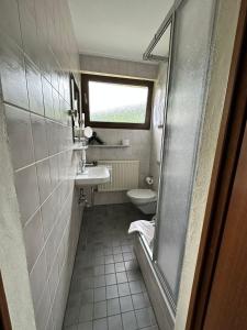 ein kleines Bad mit einem Waschbecken und einem WC in der Unterkunft Jagdhaus Rech - Ahr in Rech